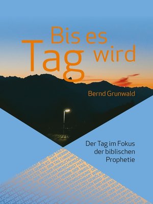 cover image of Bis es Tag wird